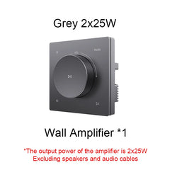 Home Power Amplifiers 2.0 Channel Bluetooths Audio Surround Sound USB Mini HIFI Digital Amplifier Stereo ceiling speakers system