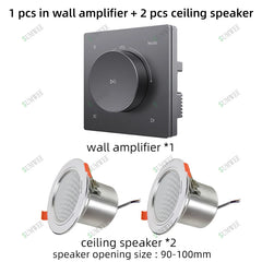 Home Power Amplifiers 2.0 Channel Bluetooths Audio Surround Sound USB Mini HIFI Digital Amplifier Stereo ceiling speakers system