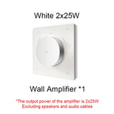 Home Power Amplifiers 2.0 Channel Bluetooths Audio Surround Sound USB Mini HIFI Digital Amplifier Stereo ceiling speakers system