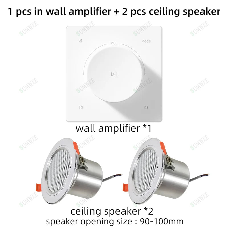 Home Power Amplifiers 2.0 Channel Bluetooths Audio Surround Sound USB Mini HIFI Digital Amplifier Stereo ceiling speakers system