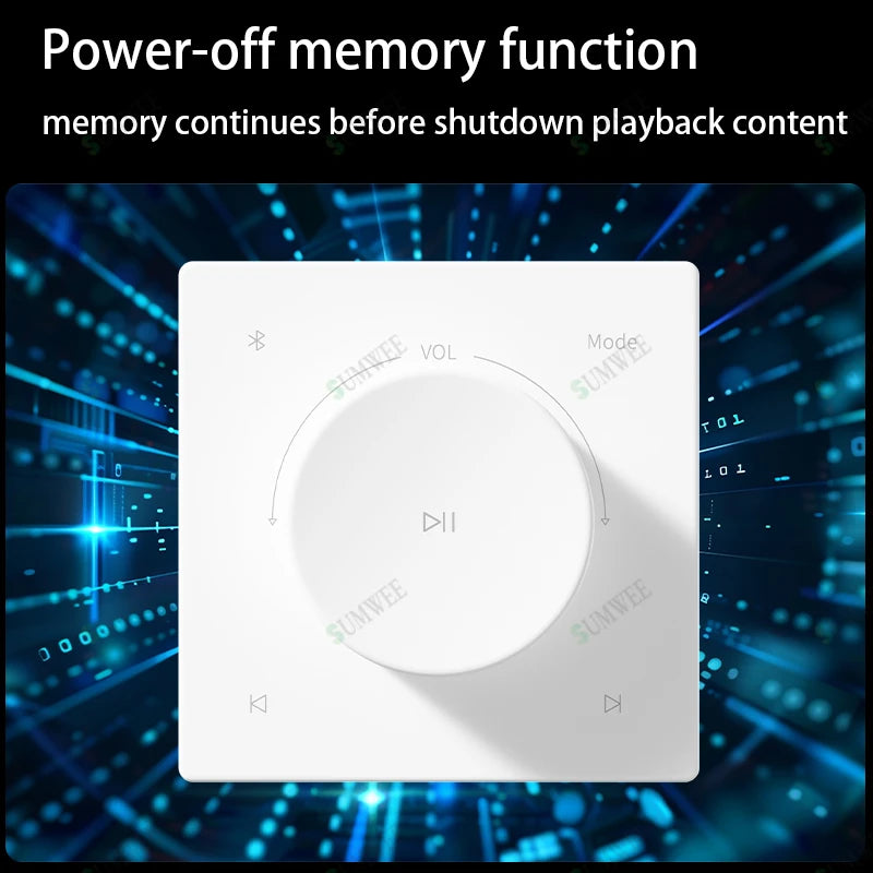 Home Power Amplifiers 2.0 Channel Bluetooths Audio Surround Sound USB Mini HIFI Digital Amplifier Stereo ceiling speakers system