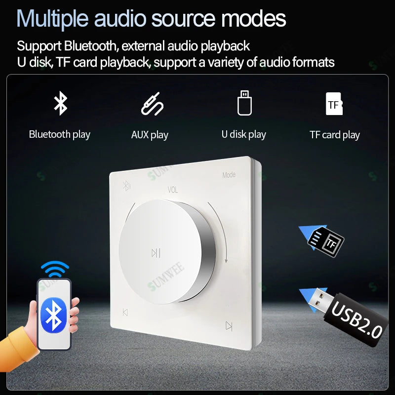 Home Power Amplifiers 2.0 Channel Bluetooths Audio Surround Sound USB Mini HIFI Digital Amplifier Stereo ceiling speakers system